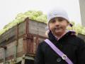 gal/2014/16_Festival zeli/_thb_IMG_0084.JPG